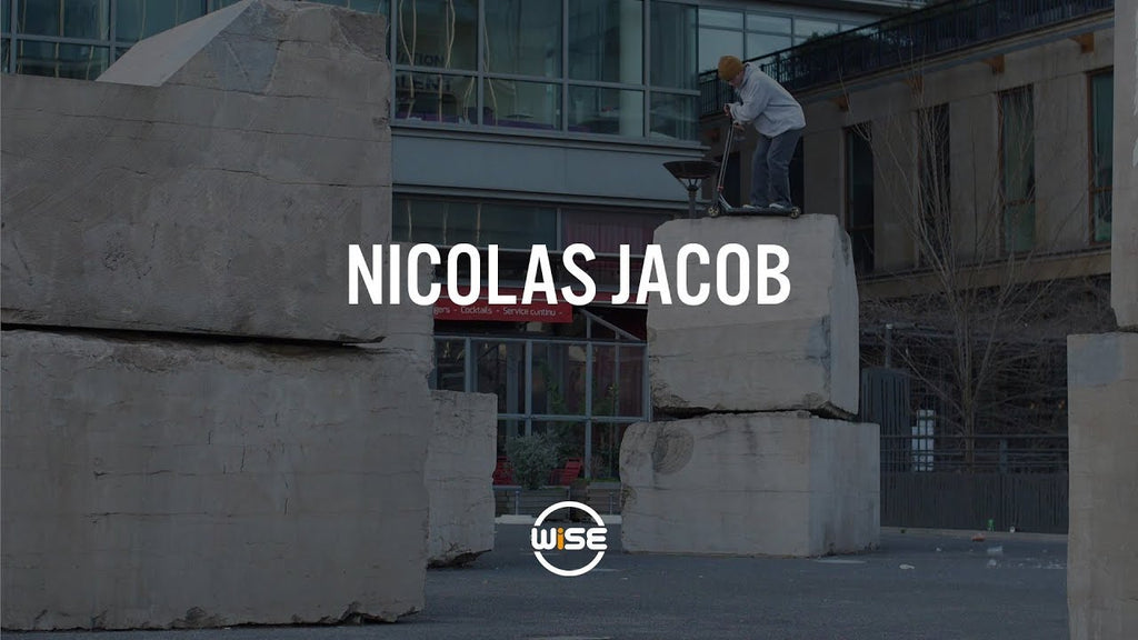 Nicolas Jacob - WISE 2019